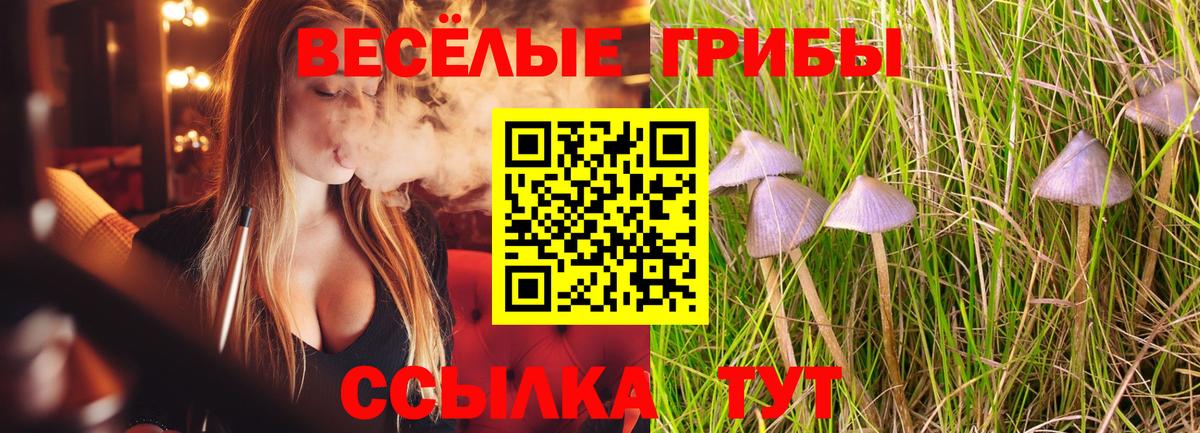 Скопин  Псилоцибиновые грибы Psilocybine cubensis  Вход с VPN 