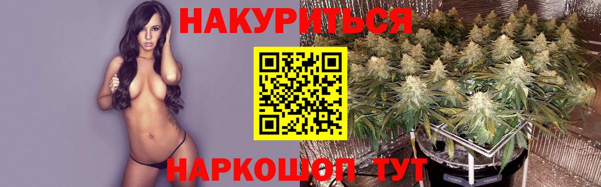 Конопля семена Скопин